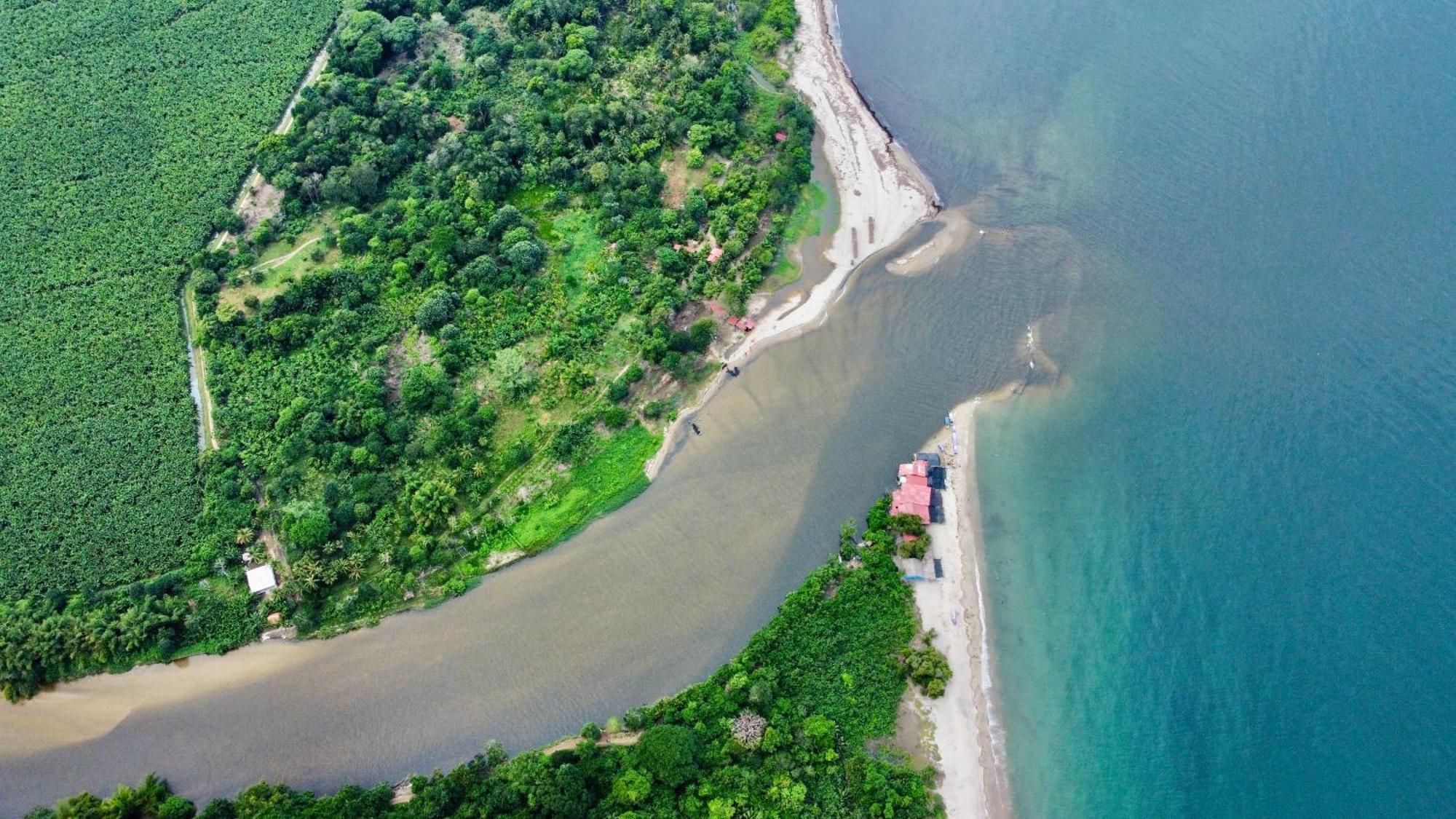 Donama River Palomino Zewnętrze zdjęcie